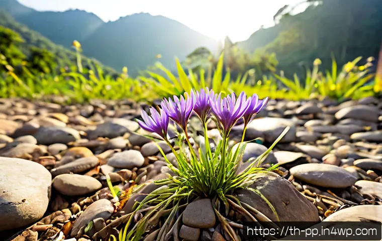 Home 17 야생화 식물의 기후 변화 대응력 - Photorealistic close-up of resilient native Thai wildflowers growing among sun-baked rocks in a nort...
